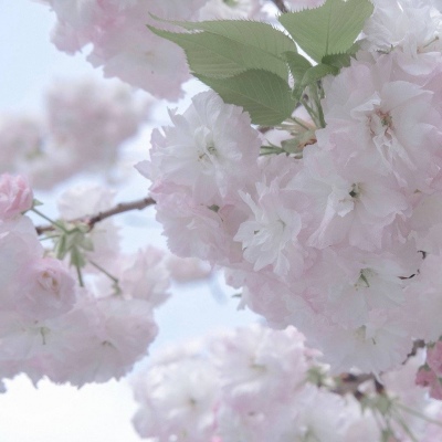 Furry插画光影解析干货兽圈社群